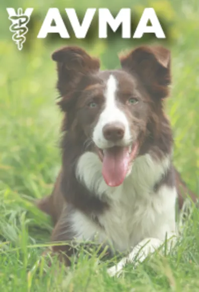  Dog in Grass with Logo